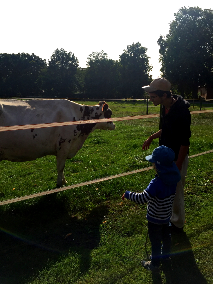 Kindergarten Frau Holle